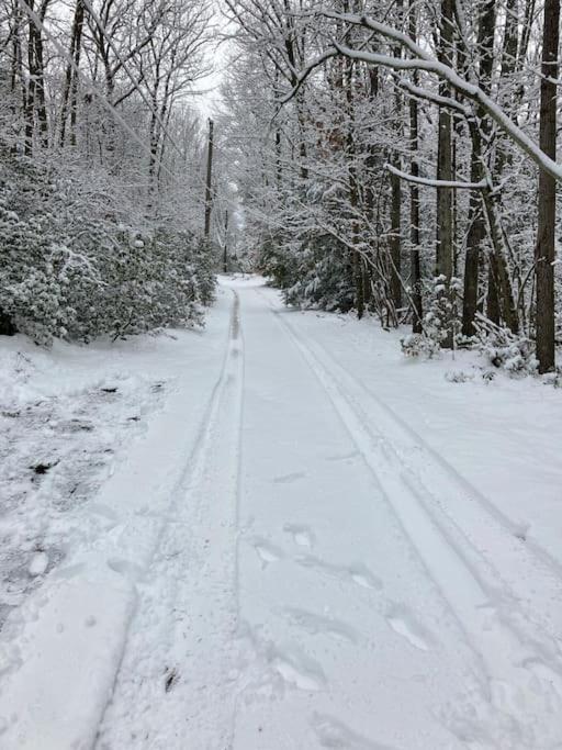 Peaceful Seasonal Wooded Cottage Close To Everything Tafton エクステリア 写真